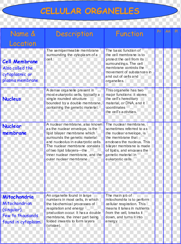 Structure And Function Of Major Organelles  HD Png DownloadTransparent PNG