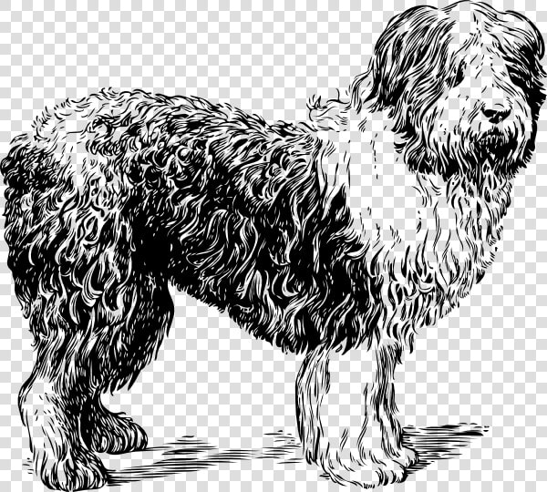 Dogs Clipart Black And White   Sheep Dog Clipart Black And White  HD Png DownloadTransparent PNG