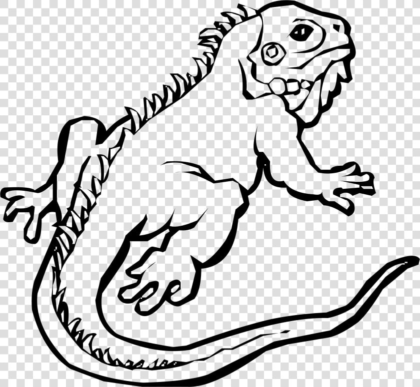 Chameleon Clipart Iguana   Iguana Clipart Black And White  HD Png DownloadTransparent PNG