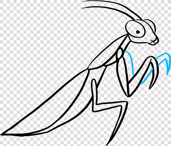 How To Draw Praying Mantis   Draw A Easy Praying Mantis  HD Png DownloadTransparent PNG