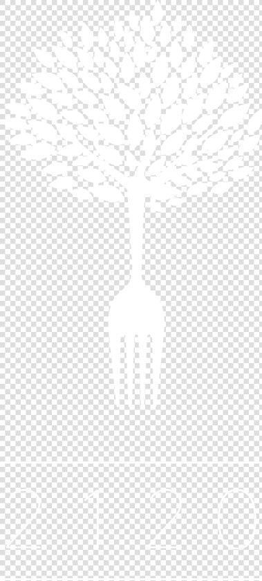 2120   Plan White  HD Png DownloadTransparent PNG