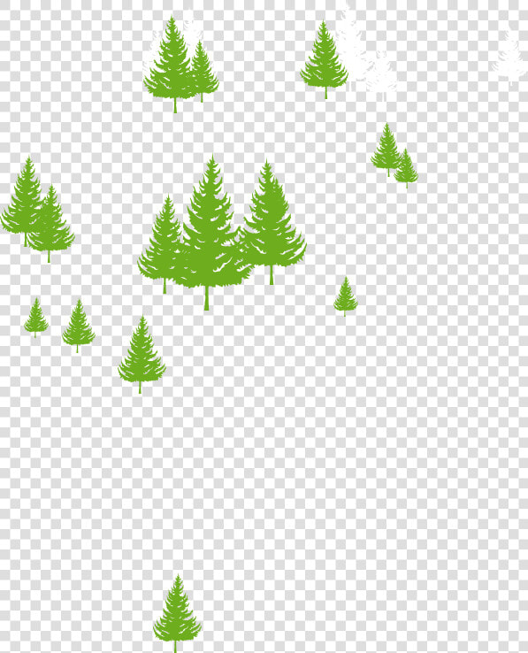 Transparent Evergreen Trees Png   Christmas Tree  Png DownloadTransparent PNG