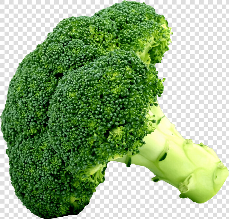 Food superfood vegetable   Clipart Picture Of Broccoli  HD Png DownloadTransparent PNG