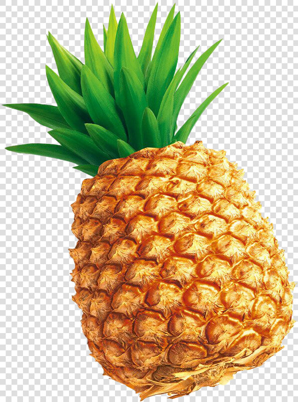 Tempting Pineapple Png Download   Pineapple Thumbnail  Transparent PngTransparent PNG