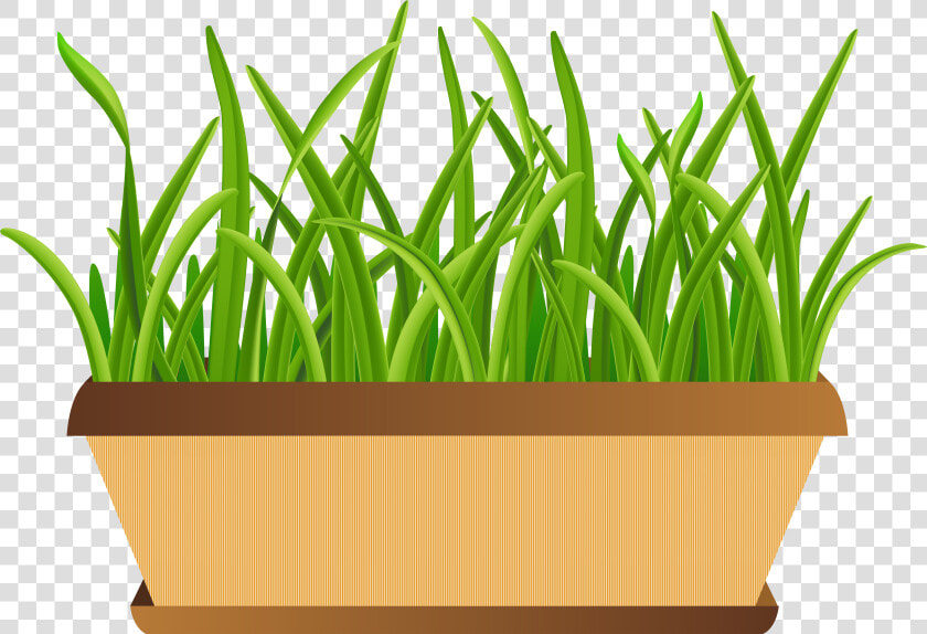 Flowerpot With Grass Transparent Png Clip Art Imageu200b   Flower Pot Png Clipart  Png DownloadTransparent PNG