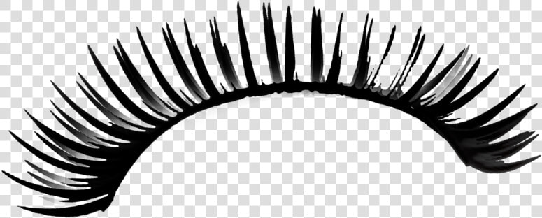 Eyelashes Png Transparent   Transparent Background Eyelash Clip Art  Png DownloadTransparent PNG