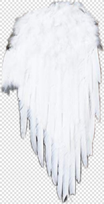  engel flügel angels  angel  angelwings  engelflügel   Darkness  HD Png DownloadTransparent PNG