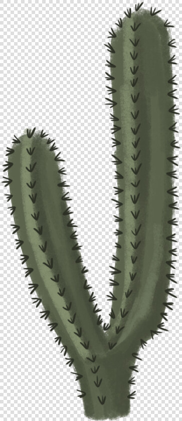 Cactus Png File   Transparent Background Cactus Png  Png DownloadTransparent PNG