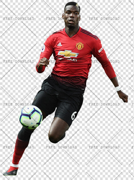 Pogba Manchester United Png  Transparent PngTransparent PNG