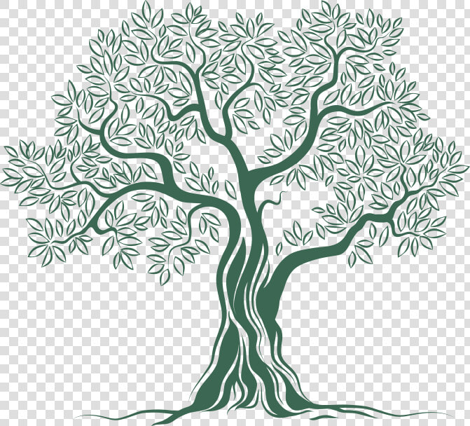 Olive Tree Logo Png   Png Download   Olive Tree Logo Png  Transparent PngTransparent PNG