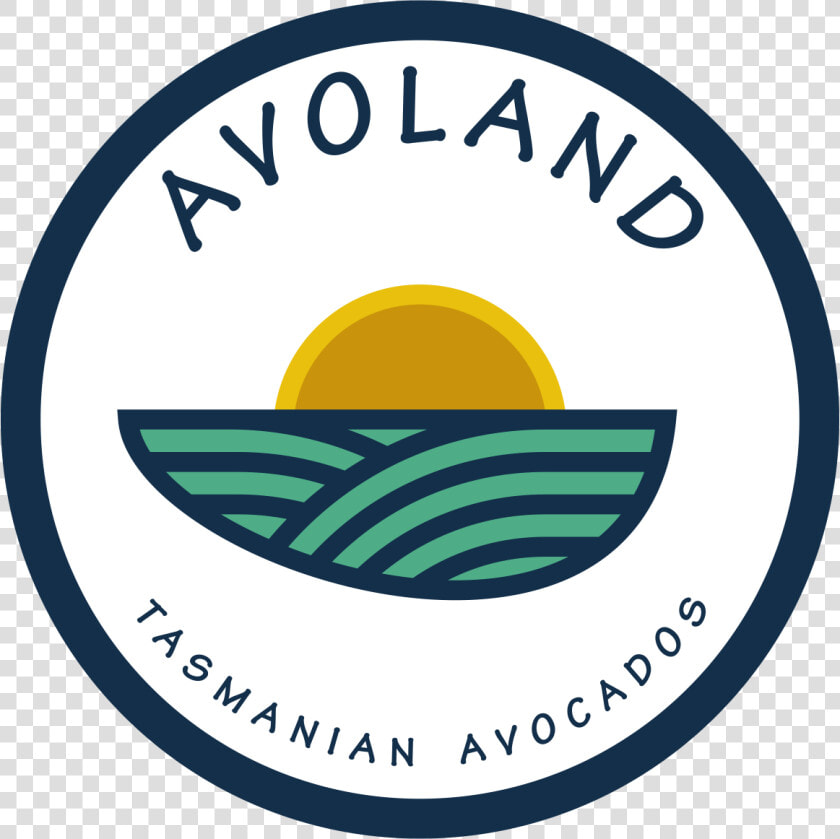 Avoland Avocados  HD Png DownloadTransparent PNG