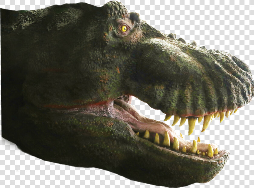 Asset 8dino7   Tyrannosaurus  HD Png DownloadTransparent PNG