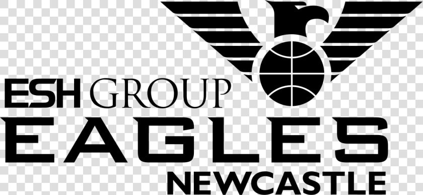 Newcastle Eagles Basketball Logo  HD Png DownloadTransparent PNG