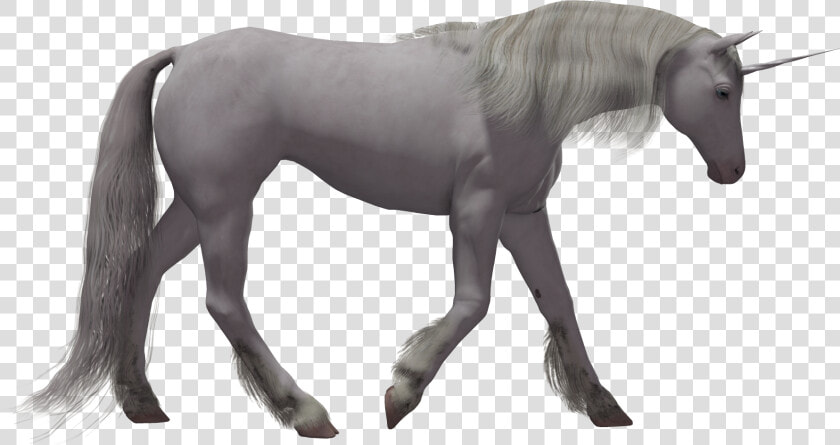 Clipart Unicorn Transparent Background   Realistic Magical Unicorn Png  Png DownloadTransparent PNG