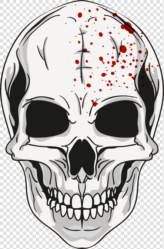 Calavera Skull Clip Art   Transparent Background Skull Png  Png DownloadTransparent PNG