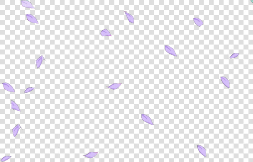  petals  petalas  flower  lilac  purple  kawaii   Feather  HD Png DownloadTransparent PNG