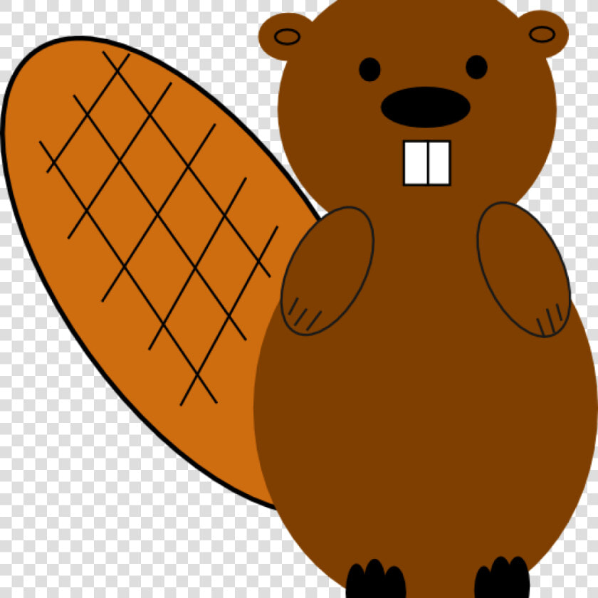 Clipart Beaver Beaver No Smile Clip Art At Clker Vector   Clipart Beaver  HD Png DownloadTransparent PNG