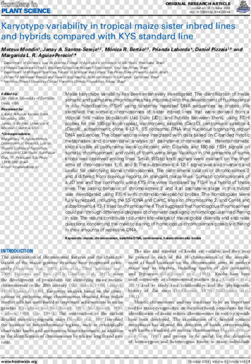 Coronary Revascularisation Outcome Questionnaire  HD Png DownloadTransparent PNG