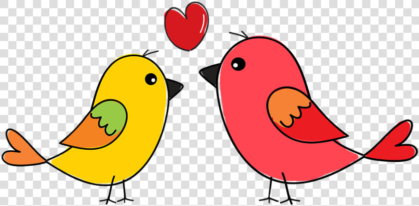 Birds  Nature  Animals  Flying  Wing  Swan  Colorful   Love Birds Drawing Images Download  HD Png DownloadTransparent PNG