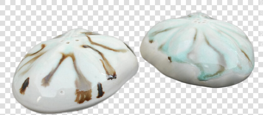 Sea Biscuit Salt Pepper Shakers   Ceramic  HD Png DownloadTransparent PNG