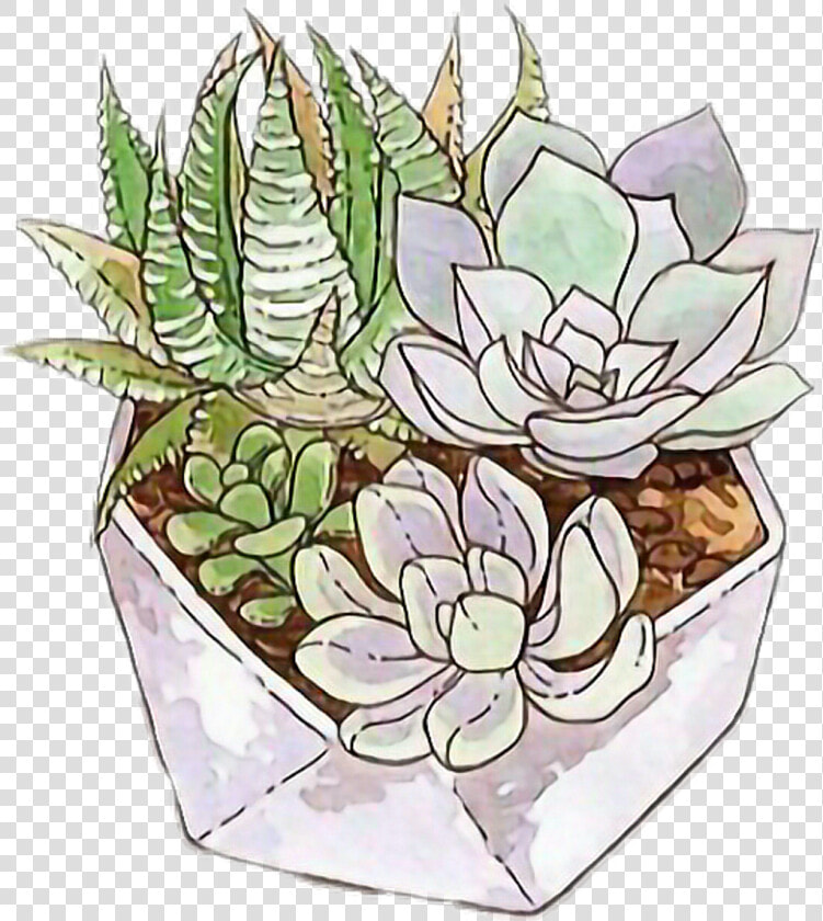  freetoedit  cactus  succulent  tumblr   Succulent Sticker Tumblr Png  Transparent PngTransparent PNG