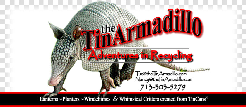 The Tin Armadillo   Armadillo  HD Png DownloadTransparent PNG