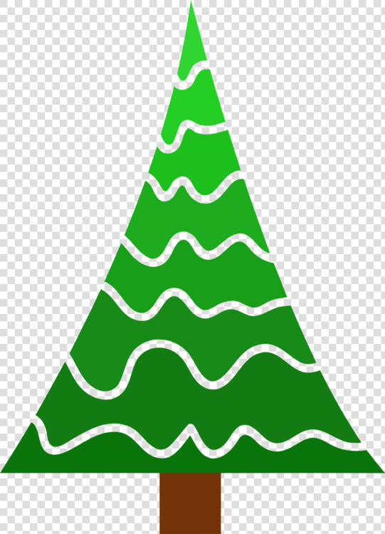 Evergreen pine Family colorado Spruce   Christmas Tree  HD Png DownloadTransparent PNG