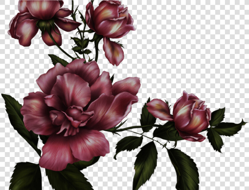 Gothic Rose Transparent Background Png Mart  Png DownloadTransparent PNG