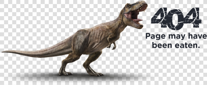 Ppt Rex 404   Paymaya  HD Png DownloadTransparent PNG