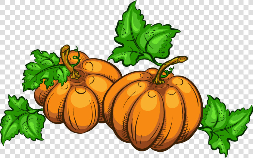 Thanksgiving Animation Giphy Clip Art   Transparent Background Pumpkin Clipart  HD Png DownloadTransparent PNG