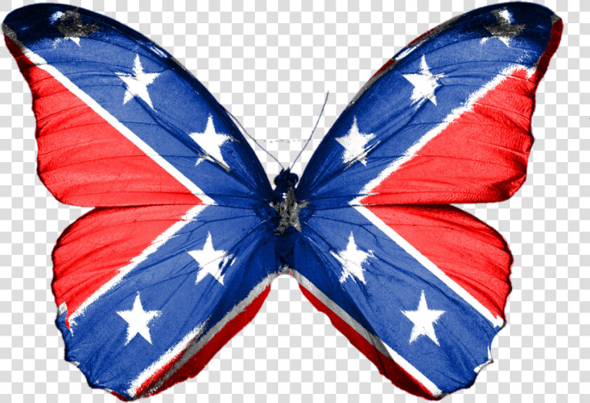  butterfly  confederate  south  rebel  insect   Confederate Butterfly  HD Png DownloadTransparent PNG