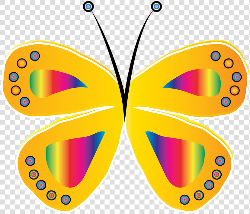 Butterfly  Yellow  Circle  Bright  Design  Insect   Borboleta Amarela E Rosa  HD Png DownloadTransparent PNG