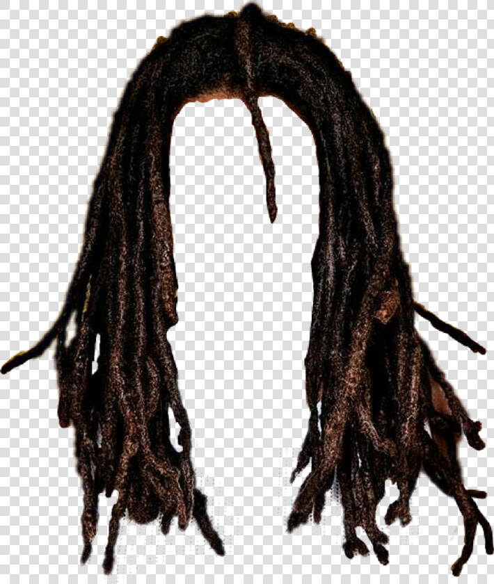 Hair Wig Png   Dreadlocks Png  Transparent PngTransparent PNG