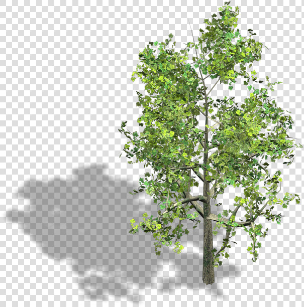 Preview   Isometric 3d Tree Png  Transparent PngTransparent PNG