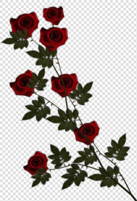 Page Curl Pro   Floribunda  HD Png DownloadTransparent PNG