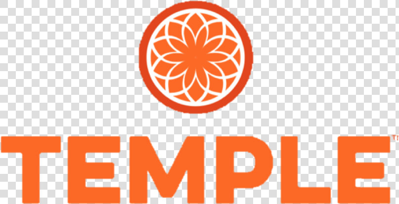 Logo Temple   Temple Turmeric Logo  HD Png DownloadTransparent PNG