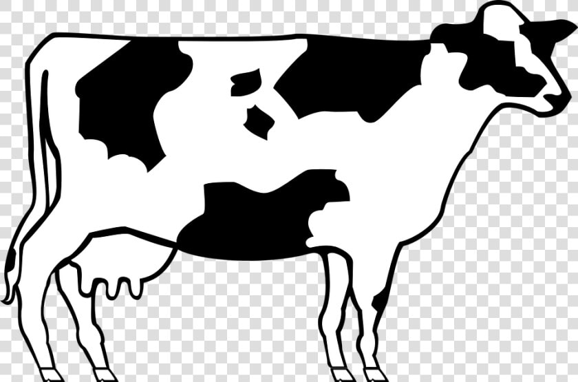 Cow  Livestock  Cattle  Farm  Animal  Beef  Dairy   Simple Cow Clip Art  HD Png DownloadTransparent PNG