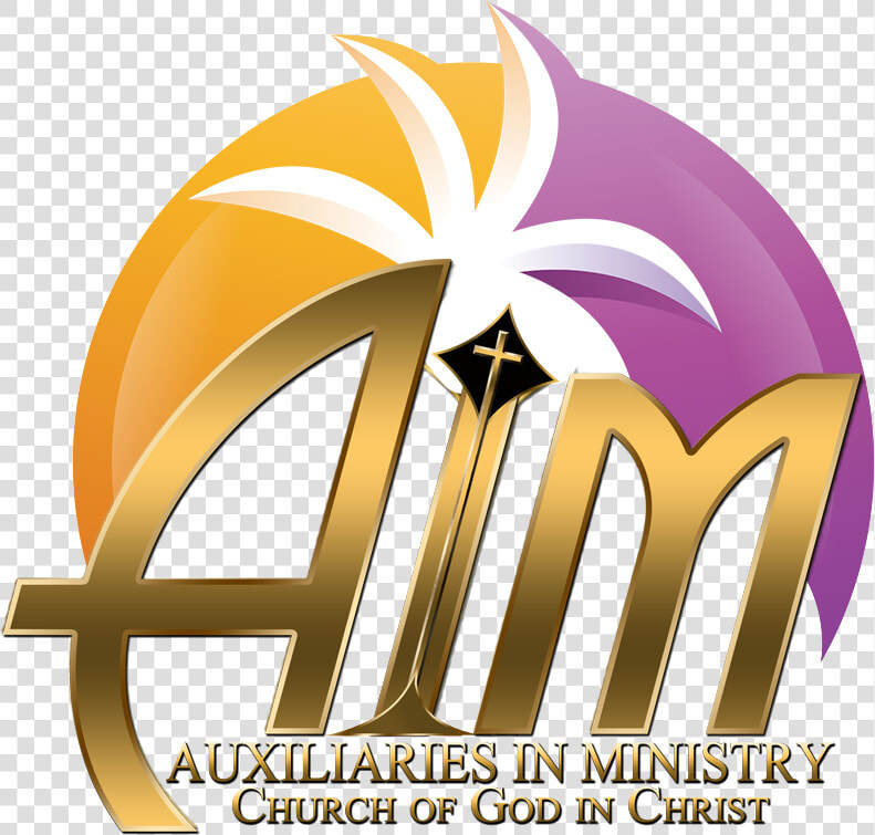 Aim Cogic  HD Png DownloadTransparent PNG