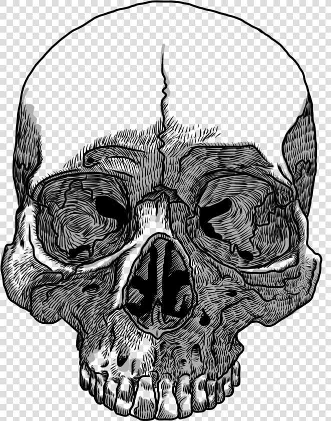 Skull Drawing Transparency And Translucency Clip Art   Transparent Background Skull Drawing Png  Png DownloadTransparent PNG