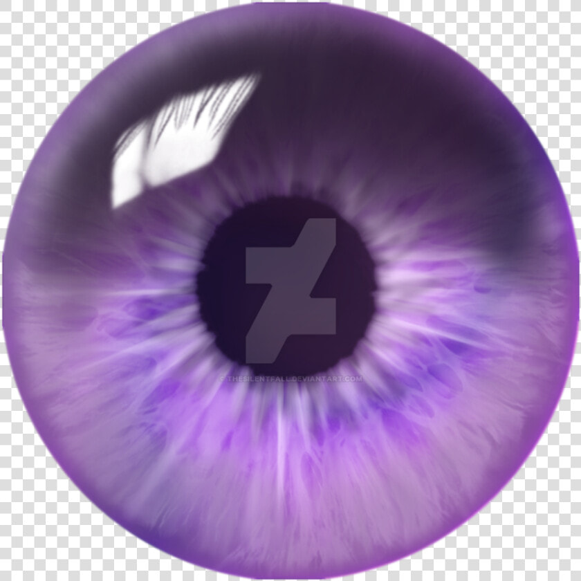 Purple Swirl Eye Finished   Silver Eye Png  Transparent PngTransparent PNG