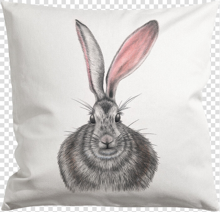 Pillow Henrietta Web 1000x Class  HD Png DownloadTransparent PNG