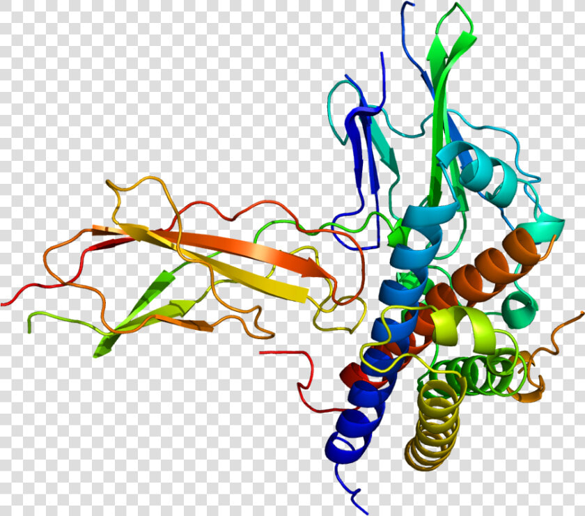 Protein Gh2 Pdb 1a22   Human Growth Hormone Receptor Structure  HD Png DownloadTransparent PNG