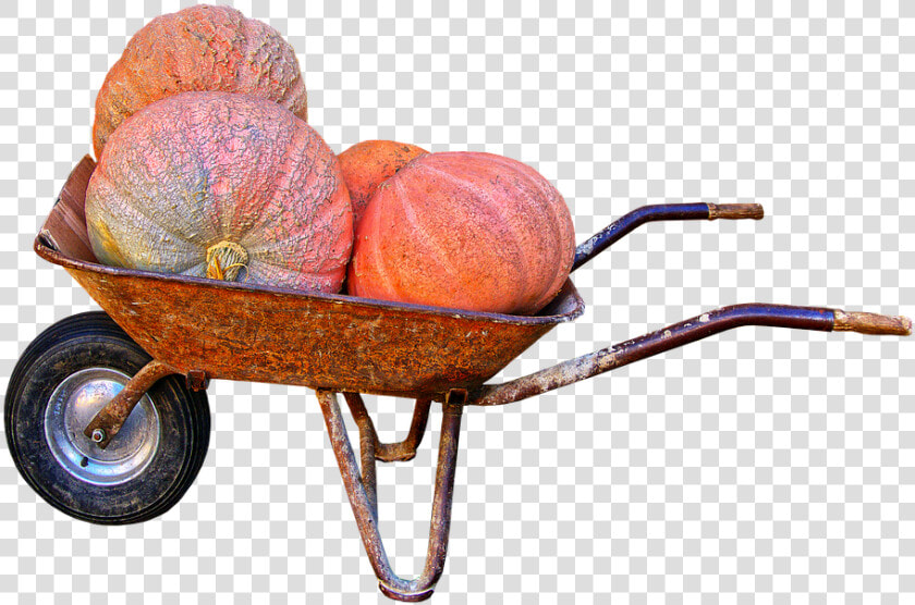 Pumpkin  Giant Pumpkin  Wheelbarrow  Autumn  HD Png DownloadTransparent PNG