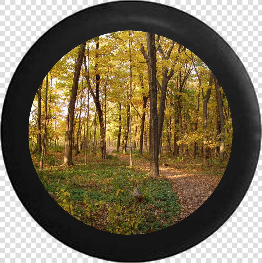 Autumn Trees Jeep Camper Spare Tire Cover 35 Inch R129  HD Png DownloadTransparent PNG