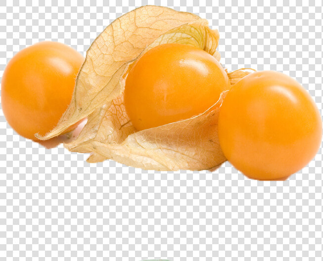 Citrus Fruit Png Stock Photo   Peruano Frutas De La Selva  Transparent PngTransparent PNG