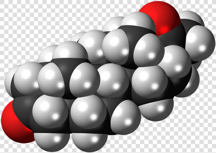 Dihydroprogesterone  Steroid  Hormone  Molecule  Model   Steroid Production By Bacteria  HD Png DownloadTransparent PNG