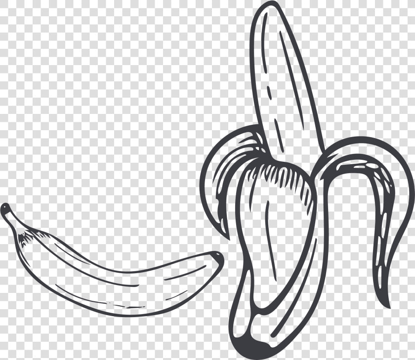 Collection Of Free Contour Drawing Banana Download   Black And White Banana Png  Transparent PngTransparent PNG