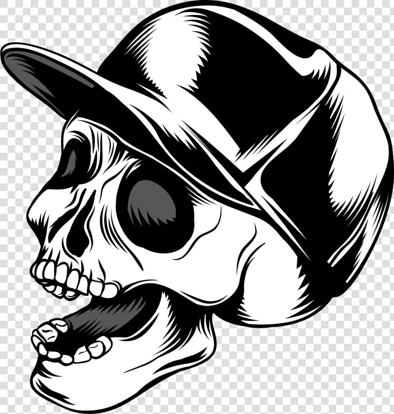 Skull Calavera Cap Euclidean Vector Baseball Clipart   Vector Skull Png Free  Transparent PngTransparent PNG