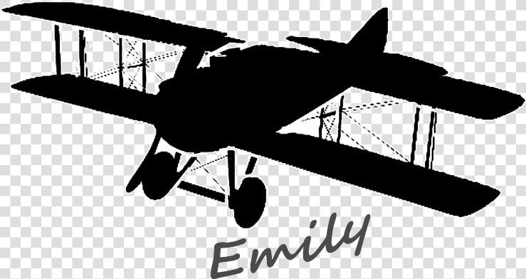 Biplane Scrambled Eggs Propeller Aircraft Aviation  HD Png DownloadTransparent PNG