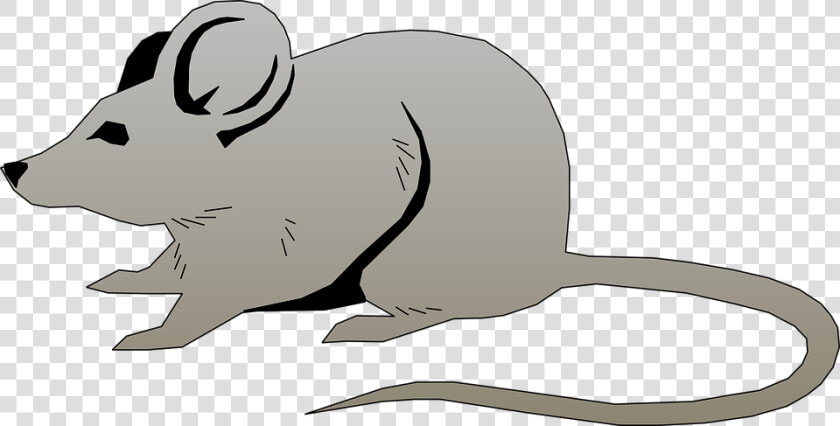 Art jerboa animal Figure beaver whiskers   Mouse Clip Art Png  Transparent PngTransparent PNG